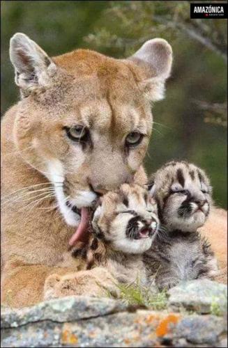 tumblr_4e7e6a7313894c074e16c171fa929891_738a5bb5_640