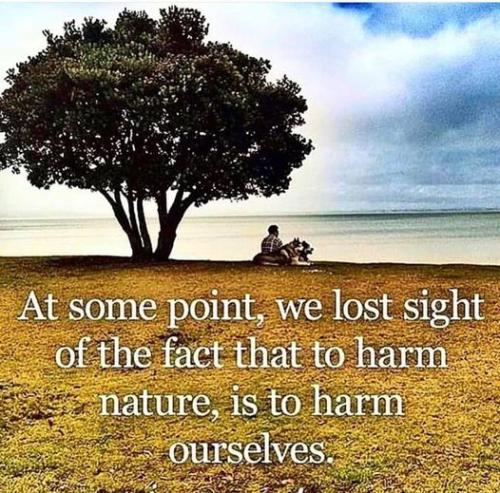 288042023_2886738561625589_2027958555411643150_n