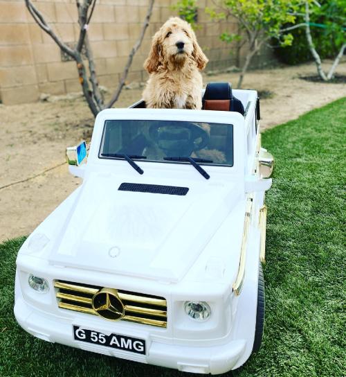 14:10:52 GMT+0100 (WAT)