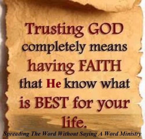 12795479_1006335182781946_1069187073767147197_n