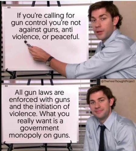 Gun Control 1