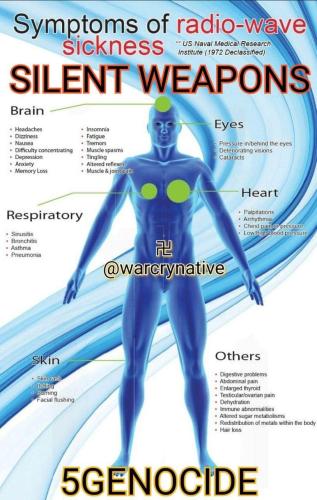 Silent Weapons 6