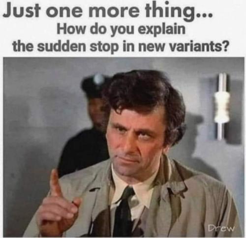 FB_IMG_1655091117038