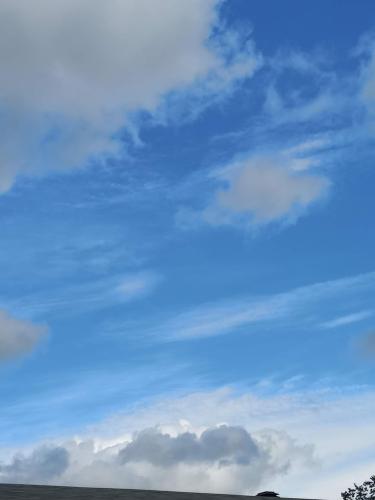 received_794502698199846