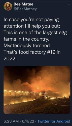 FB_IMG_1654525710989