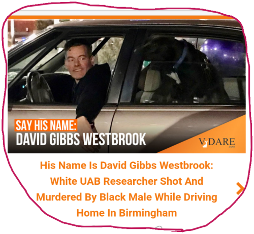 snapshot_vdare.com_1654615220570