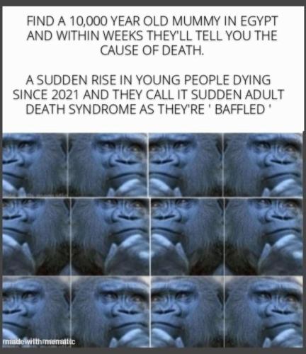 FB_IMG_1656352399583