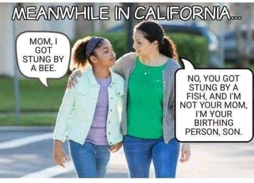 FB_IMG_1654870902132