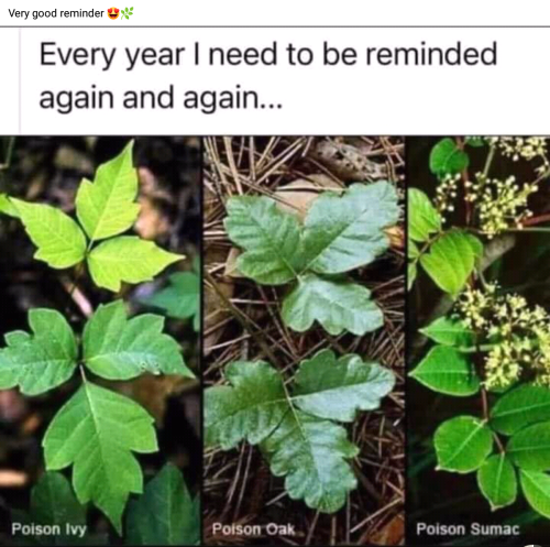 Screenshot_2022-06-11-11-45-56_kindlephoto-160149366