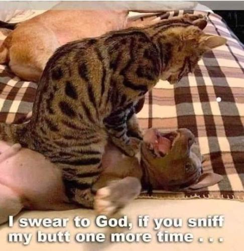 284649528_2190702327746283_2977280775350480509_n