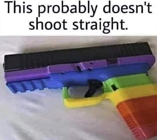 gun gay