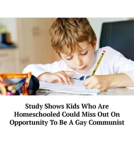 xephula_e7c86e0673f31107347ba3eacb29391e