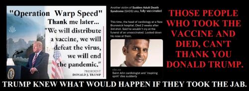 20f385468dfb0b3c1a560b5351f63983_1024