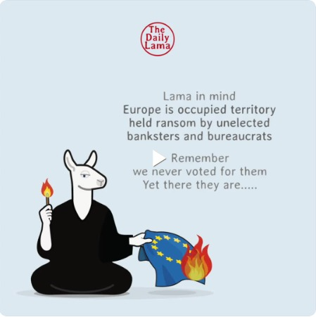 captures_chrome-capture-2022-5-23 (4)