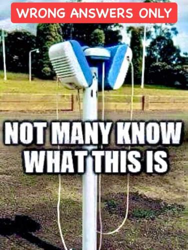 FB_IMG_1656339614464