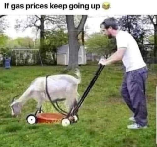 FB_IMG_1654320309070