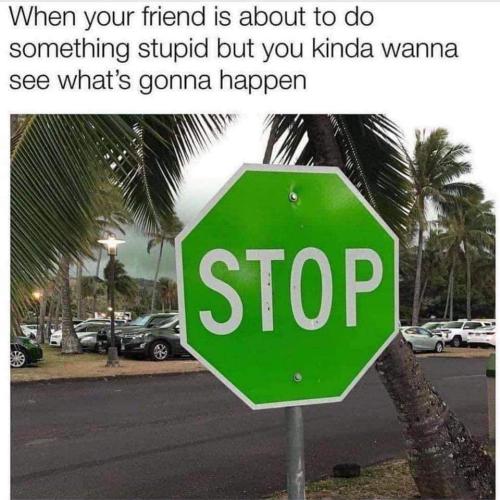 FB_IMG_1655737141671