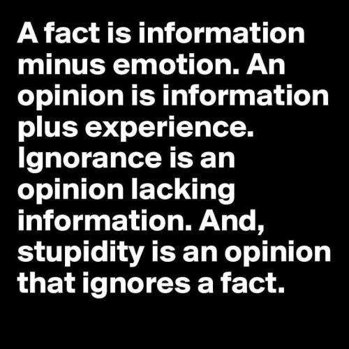 Definition of information