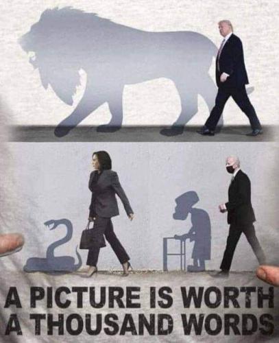 FB_IMG_1654047194757