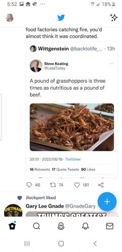 grasshoppers