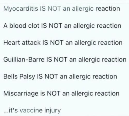 xephula_6572766b17ed61bd332636ba05d16eae