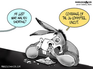 MC_Snort_web20220610121513-375x275