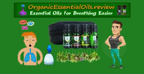 OrganicEssentialOils.review Essential Oils for Breathing