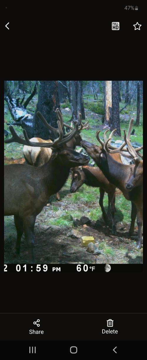 Screenshot_20220610-164746_SPYPOINT