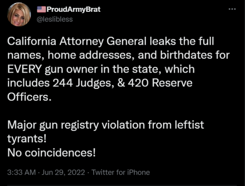 Gun Leak 1
