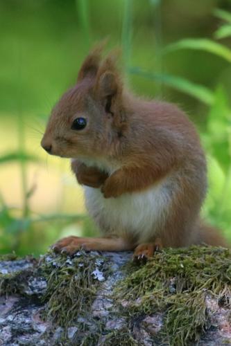 tumblr_76ea3169a3fb56902a4399973023105c_b2419cd0_540