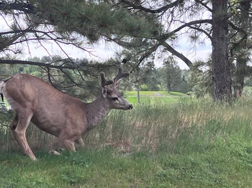 14D2AA2E-4A9E-49D4-AEC2-AC61CE363E58