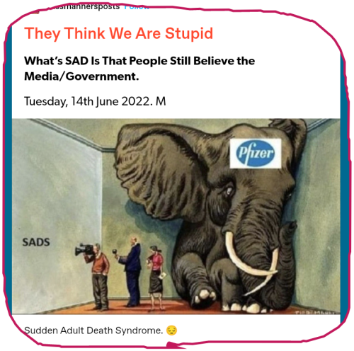 snapshot_www.tumblr.com_1656621212081