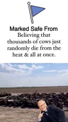 FB_IMG_1656179752534