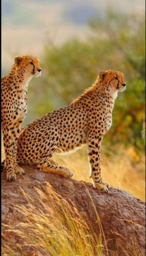 tumblr_66ec06c55d203f04f0fd1cd4224575c3_12f3ebd9_640