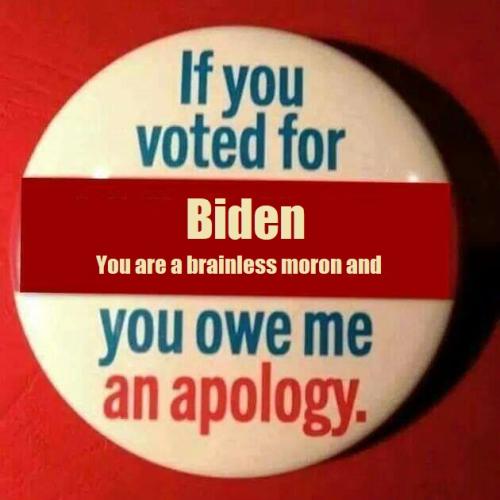 biden moron
