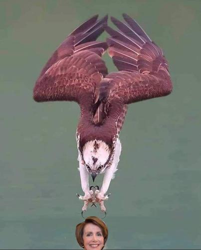 FB_IMG_1656230905758