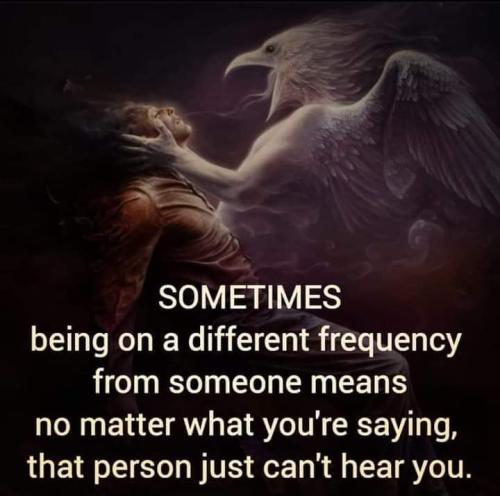 FB_IMG_1655241858365