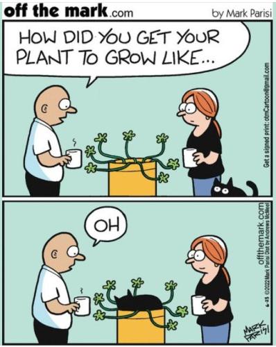 288663639_5755121124517264_5654797849559291322_n