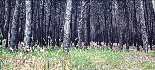 Picsart_22-06-06_18-23-50-075