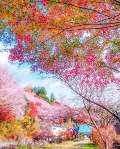 286398059_540859487668527_1318433969337599517_n