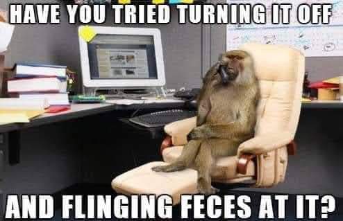 FB_IMG_1656522698744