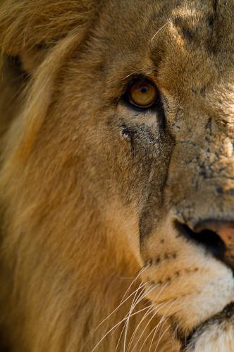 tumblr_mhnjqf4E8H1r09lako1_500