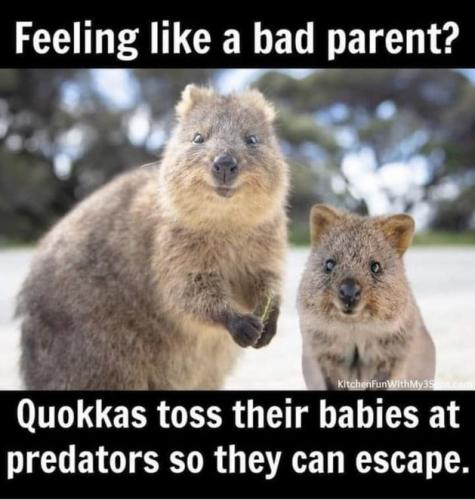 tumblr_0a1014738ce08d2945b90cfcb336f2df_71d0f38a_640