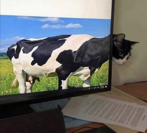 198295205_10222504985116483_2731875608654338921_n