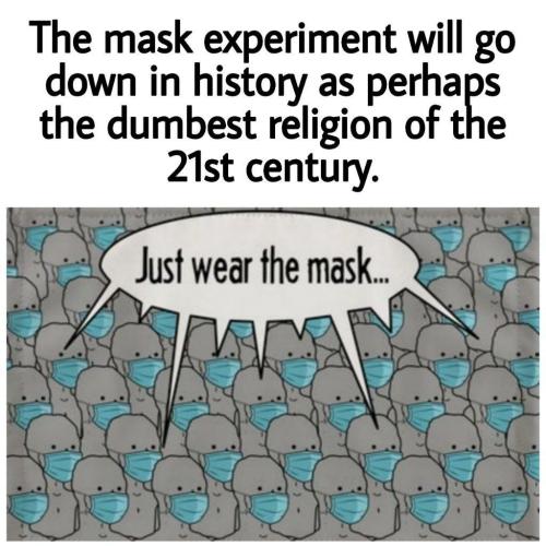 download - 2022-06-26T173848.557