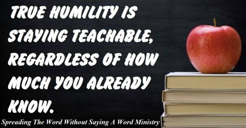 12440411_1023610211054443_5614360846830089967_o