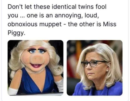 FB_IMG_1655056071271