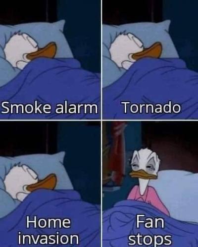 tumblr_90572c6b5182798add7fbca1c0e31bc2_1e974845_500