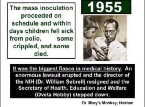 FB_IMG_1656514715249