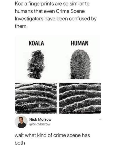 289251054_10160117633816382_8897227232972746196_n